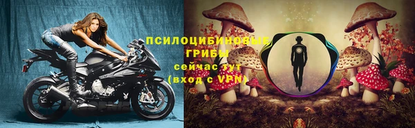 spice Абдулино